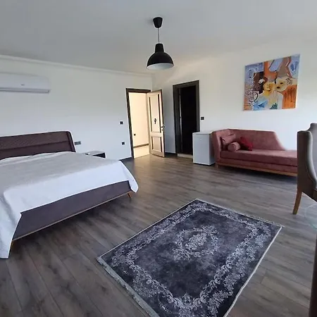 Koeyce Turizm Villa *
